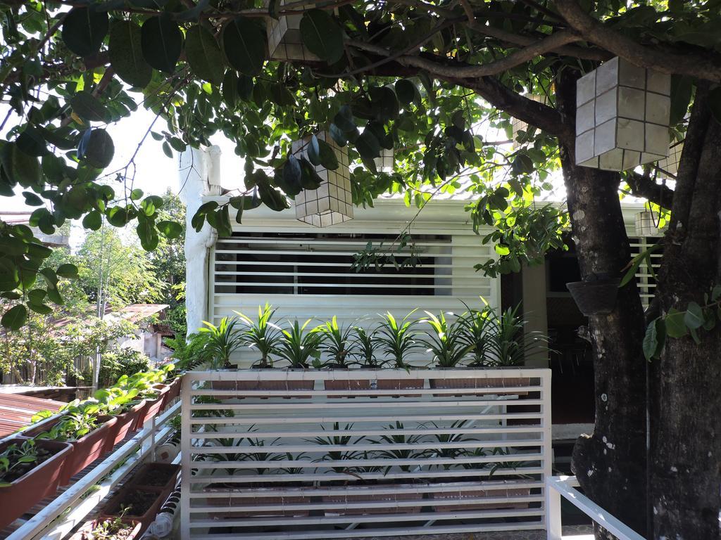 Orange Mangrove Pension House By Sms Hospitality Puerto Princesa Zewnętrze zdjęcie
